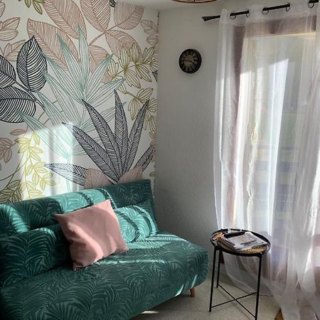 Appartement Studio Le Lioran à Laveissière Extérieur photo